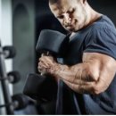 SG피트니스 이미지