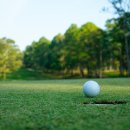 그린골프 연습장 이미지