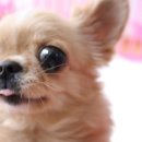 독립문동물병원 이미지