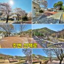 장흥뉴마트 네이버블로그