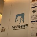 기운내 동물병원 이미지