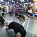 팀코어복싱짐 이미지