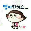 바람난강아지 이미지