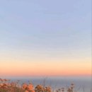 찬슬 이미지