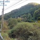 오리개윗골천 이미지