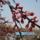예산축산업협동조합 이미지