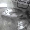 서고지민박 이미지