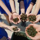 화성5리 이미지