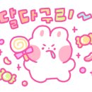 디자인아프리카 이미지