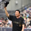 탄금야구장 이미지