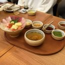 털찐강아지 이미지