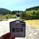 새오름 | 제주 숨은 명소 거문오름 탐방 후기 (예약 방법, 코스 정리)