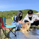 팔이팔이카센타 이미지