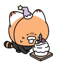 순창애견용품 이미지