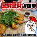 제주도 서귀포 치킨 맛집 콩닭콩닭 올레시장 똥집튀김 술집 내돈내산