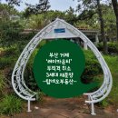 거제2구역 주택재개발 정비사업조합 | 부산 거제 ‘레이카운티’ 부적격 취소 3세대 재분양, 이르면 이달 공급 무주택가점[출처. 국제신문]