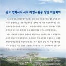 완도 법화사지 이미지