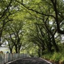 하늘정원 펜션 이미지