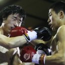 한마음권투체육관 이미지