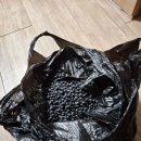 생활일기 열(25.11.1~) 이미지