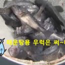 어장과활어센타