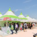 2025 예천활축제 이미지