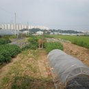 이명환농장 이미지