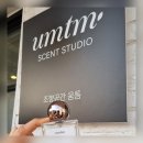 움틈(UMTM)