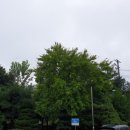 영구농장 이미지