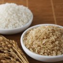 핏포유(FIT4U) 이미지