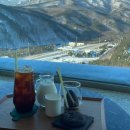 기정목장 이미지