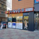 유명착한홍삼