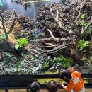 러키더키 견학 이미지