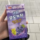2022년 7월 파주 ① │ 라이브러리스테이 지지향