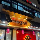 마라본색