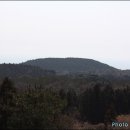 남원읍-16 Daum카페
