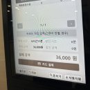 루이4989 | 밴드 투어 롯데백화점 에비뉴엘 잠실점 오픈런(티파니앤코, 쇼파드, 까르띠에, 부쉐론) 부쉐론 구매 후기