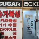 슈가복싱클럽 이미지