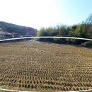 수룡농장 이미지