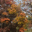 강가에 펜션 | 대구근교 경북경남 가을캠핑장 월성계곡 거창강가펜션 캠핑 추천후기