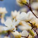 쉼표이야기 이미지