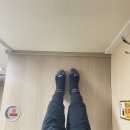 대풍약국 | 출장을 빙자한 2박 3일 울릉도 여행기.zip