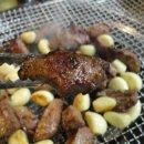 황소고집 이미지