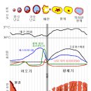 ㅅㅎㅍㅇㅇ ㅍㅇ실패율, ㅅㄹ기간 ㅇㅅㄱㄴㅅ 궁금하지 않아? 이미지