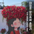 장미호떡 | 2026 대청호 장미축제 평일 주차·포토존 개화현황까지 직접 다녀온 후기