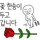 괜찮아바비 이미지
