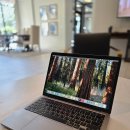 2020 MacBook Pro 13인치 팝니다 이미지