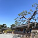 경주의시간 목화 이미지