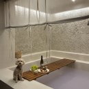 스테이 더담 각남점 | [청도 숙소] 스테이 더담 각남점 | 각남점 고른 이유 | 애견 동반🐶