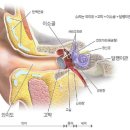 이경 메디칼 네이버블로그